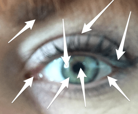 Screen Shot 2016-02-22 at 9.07.11 AM